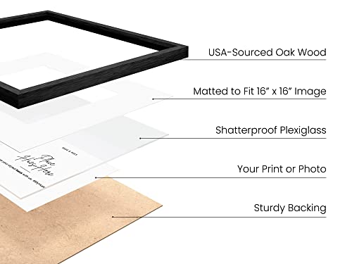 Black Oak Wood 20x20 Picture Frames (6 Count)