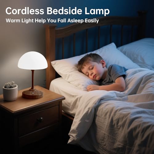 Mushroom Lamp Cordless Lamp Table Lamp