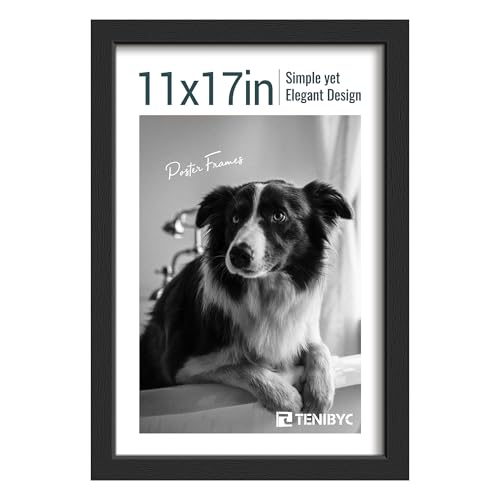 11x17 Picture Frame 1 Pack