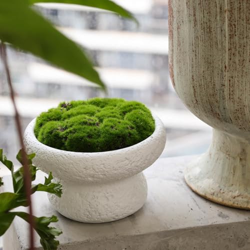 6'' Handmade Cement Bowl