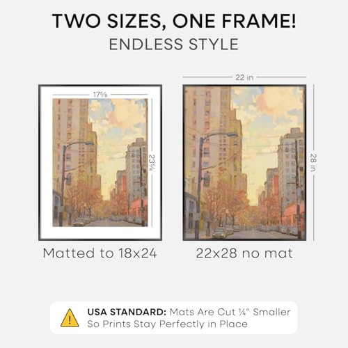 22x28 Black Poster Frame