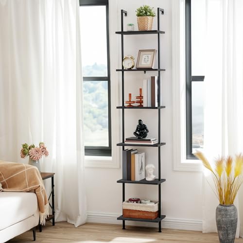 DIY Ladder Shelf