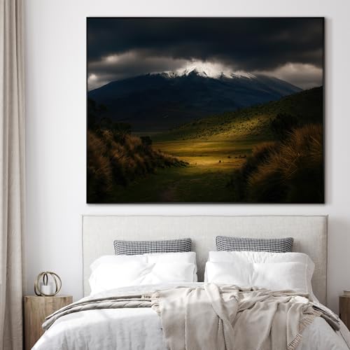 36"x46" Extra Large Framed Wall Art Majestic Snow