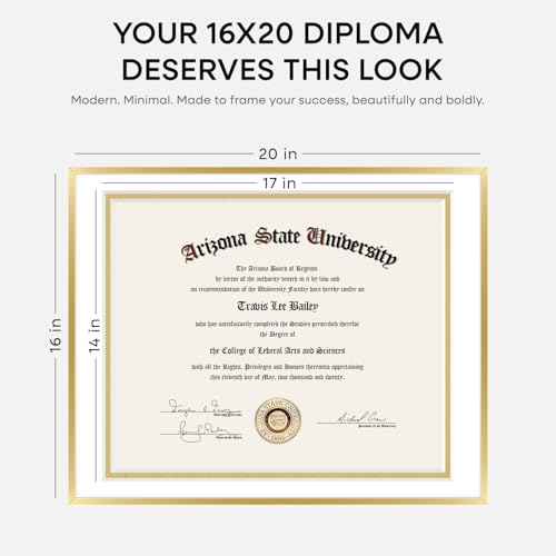 16x20 Gold Diploma Frame (2 Count)