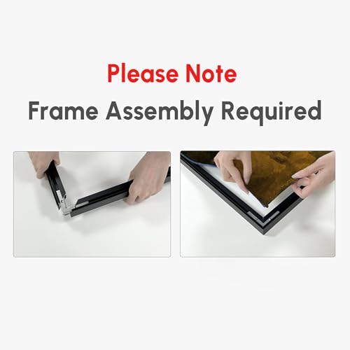 36"x60" Extra Large Framed Wall Art Monochrome Fish Silhouettes Illustration for Home Living Room Bedroom Decor