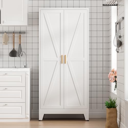 5 Tier Metal Farmhouse Storage cabinets with Doors and Shelves