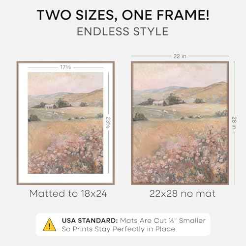 22x28 Mocha Poster Frame