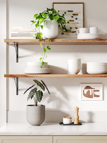 6 Inch Plant Pot
