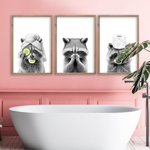 Raccoon Bathroom Wall Decor Art 16x11 Inch Set of 3 Wood