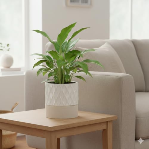 Ceramic Self Watering Plant Pot for Indoor Plants