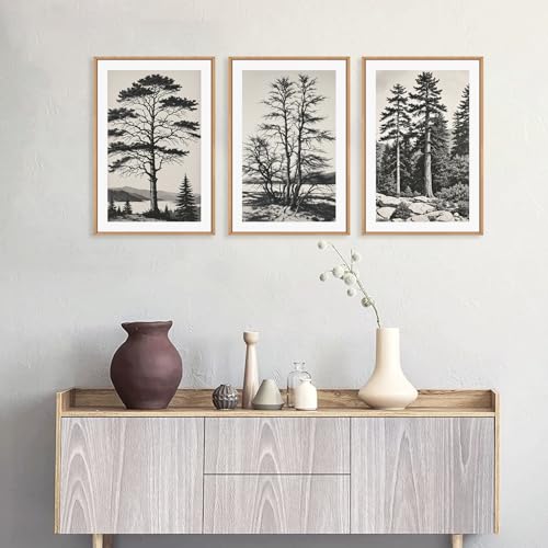 Large Vintage Sketch Tree Framed Wall Art Set