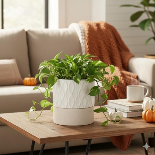 Ceramic Self Watering Plant Pot for Indoor Plants