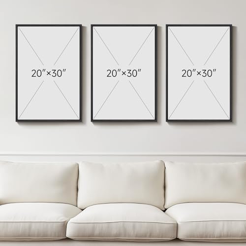 Framed Modern Black and White Abstract Wall Art for Living Room (3 Count)
