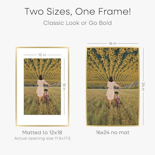 16x24 Gold Picture Frame