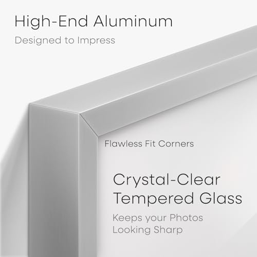 4x9 Silver Business License Frame (3 Count)