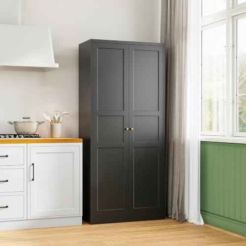 Black Storage Cabinet with Adjustable Shelves