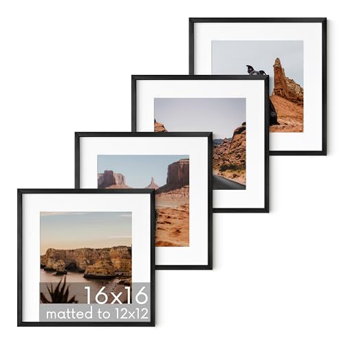 16x16 Black Metal Picture Frames Matted to 12x12 (4 Count)