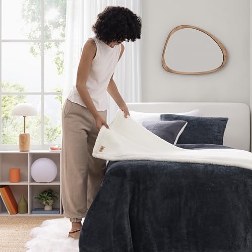 Remina Twin Comforter Set