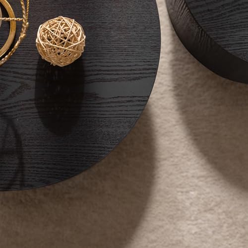 Nesting Round Coffee Table Set of 2 (2 Count)
