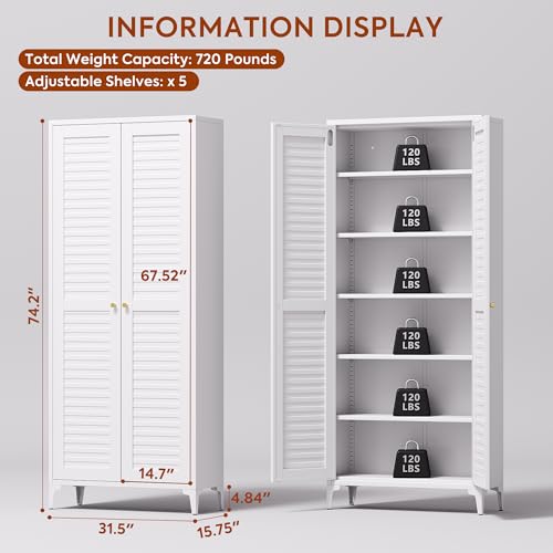 Metal Kitchen Pantry Cabinet with 2 Doors