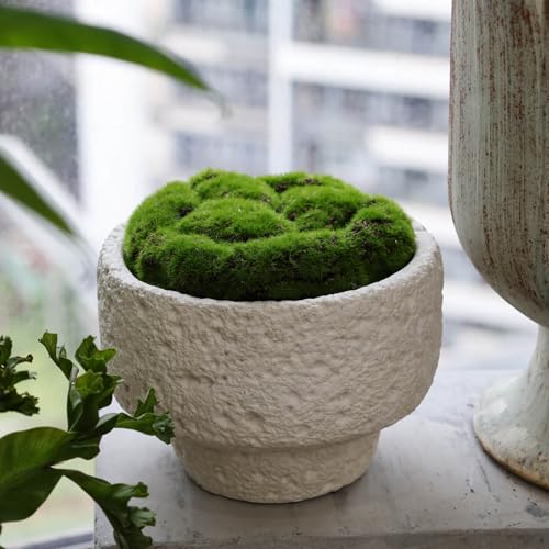 New Moss Bowl