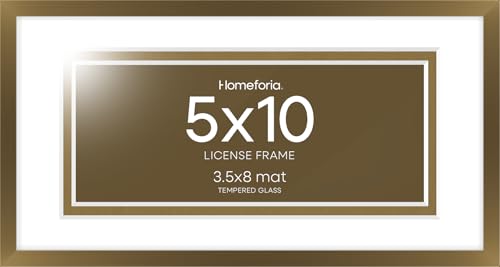 5x10 Bronze License Frame (2 Count)