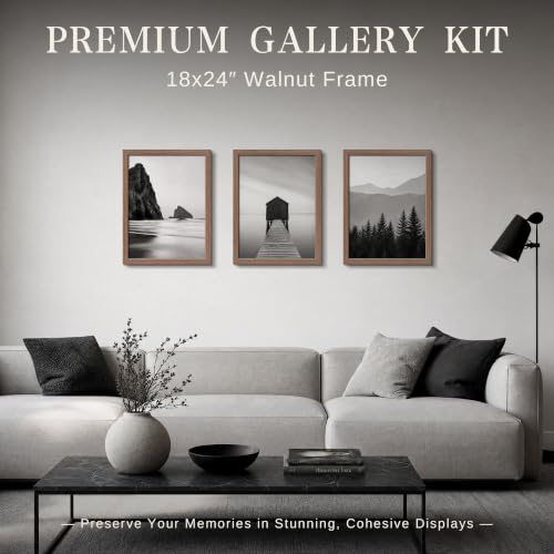 18x24 Frame Set of 6