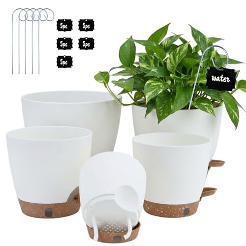5 Pack Self Watering Flower Pots for Indoor Plants (5 Count)