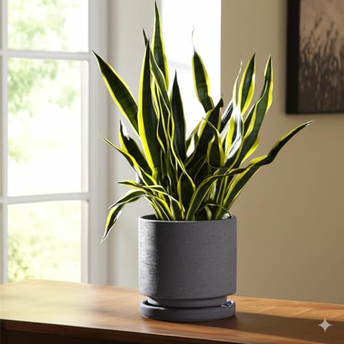 Ceramic Plant Pot Drainage Hole & Saucer for Indoor Plants