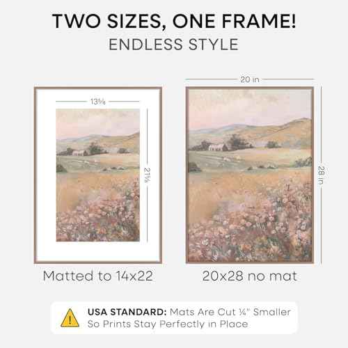 20x28 Mocha Picture Frame