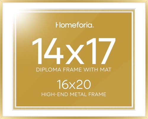 16x20 Gold Diploma Frame (2 Count)