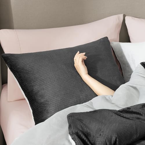 Remina Twin Comforter Set