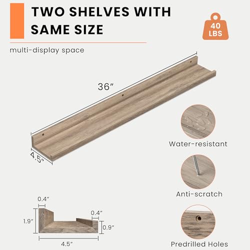 Picture Ledge Shelf (2 Count)