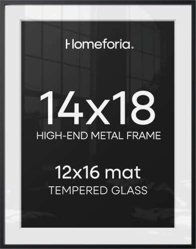 14x18 Black Picture Frame (2 Count)