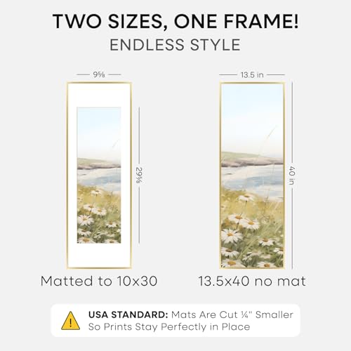 13.5x40 Gold Picture Frame (3 Count)