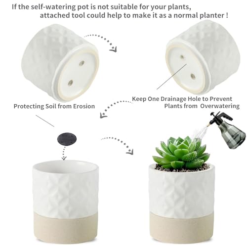 Self Watering Ceramic Plant Pot