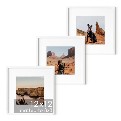 12x12 White Metal Picture Frames Matted to 8x8 (3 Count)