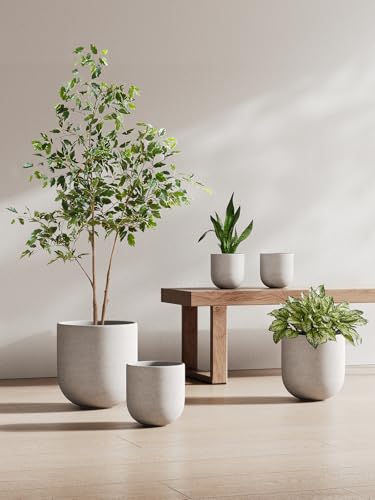 6 Inch Plant Pot