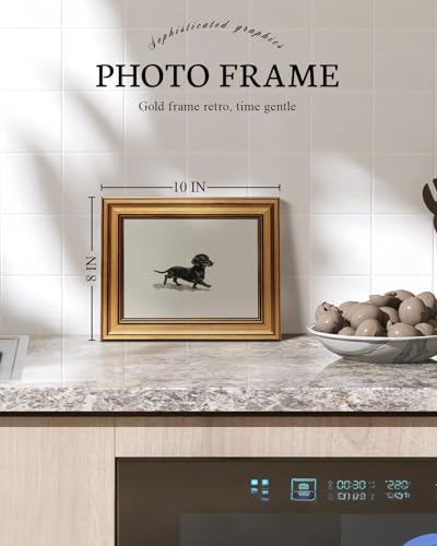 Vintage Gold Framed Wall Art