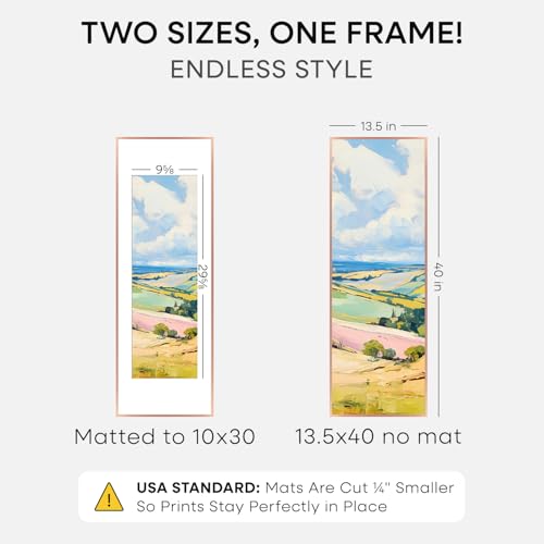 13.5x40 Rose Picture Frame