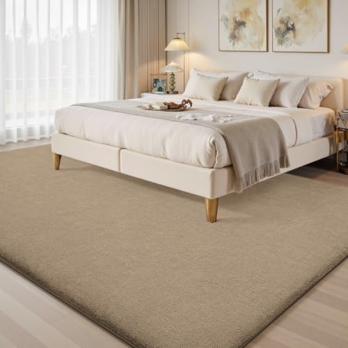 5x7 Area Rugs for Living Room Bedroom