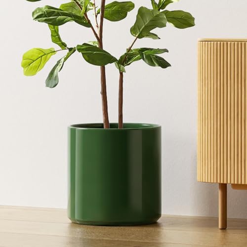 12 Inch Pot for Plants