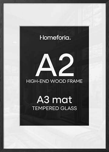 A2 Black Oak Picture Frame