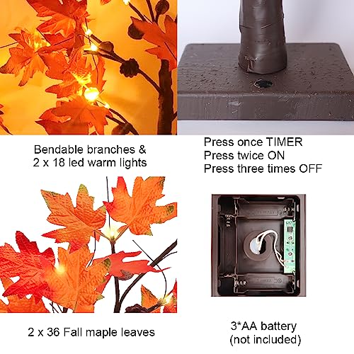 Fall Decorations for Home