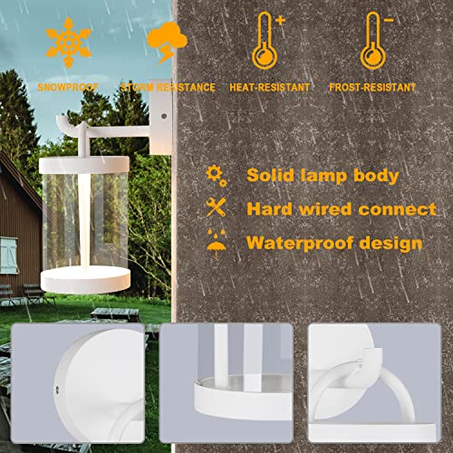 LED Wall Sconce Light Outdoor