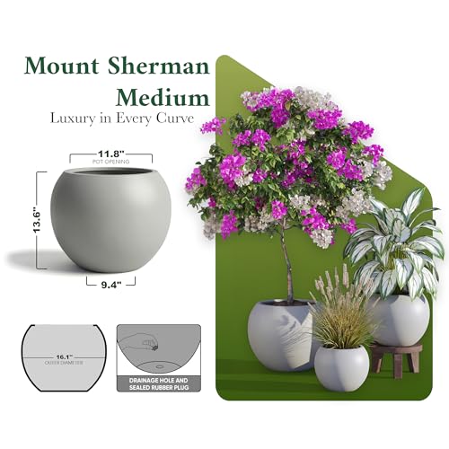 Mt Sherman 16.1'' D x 13.6'' H