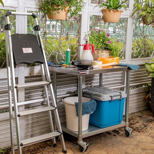 24x48 NSF Stainless Steel Cart Work Table