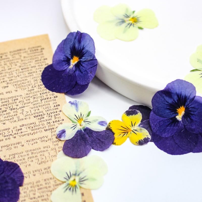 48Pcs 8 Kinds Natural Dried Pressed Edible Flowers for Cake Topper Decorating - Mix Viola Tricolor for Cocktails Cupcake Toppers, Resin DIY Art Jewelry Candle & Soap Making