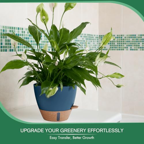 2 Pack 10 inch Plant Pots (2 Count)
