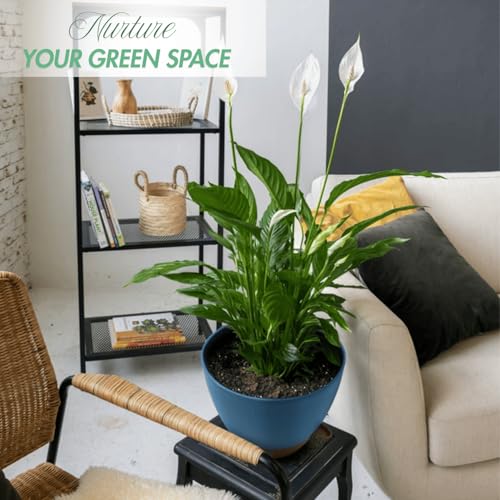 12/10/8 Inch Self Watering Pots for Indoor Plants Plastic Large Plant Pots for Outdoor Plants, Water Level Window & Spacious Reservoir Flower Pots Decorative Planter with Drainage and Tray (3 Count)